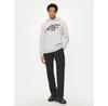 Толстовка 4F 4FWMM00TSWSM1464