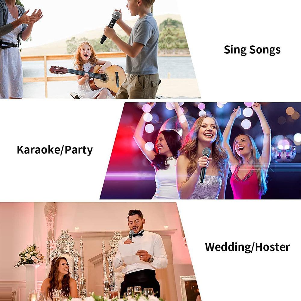 Professional Handheld Wireless Dynamic Dual Microphone Karaoke With Rechargeable Receiver For Stage Performance Entertainment