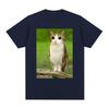 Cat Owl Funny Meowl Meme Brainrot T-shirts Men's Women Clothing Fashion Harajuku Short Sleeves T-shirt Cotton Oversized T Shirts