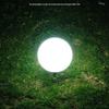 Solar Powered Garden Sphere Light