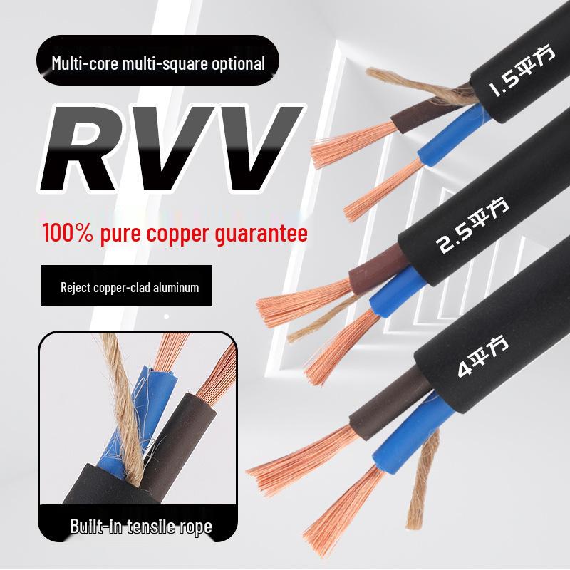2.5mm Pure Copper Two-Core Flexible Household Extension Cable