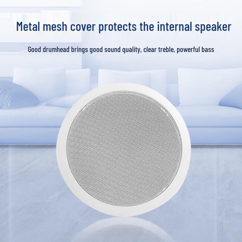 MIKEGOLS POE SIP Conference Ceiling Speaker CN Plug (adapter Included)