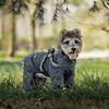 Pet Dog Raincoats Suitable for Large Medium and Small Dog Clothes Windproof and Waterproof Puppy Rainwear