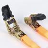 Cargo Luggage Holding Ratchet Strap, Securing Strap for Moving
