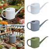 2L Watering Can, Easy to Use, Modern And Ergonomic, with Handle, Ideal for Home, Office Indoor