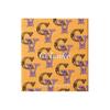 Celvoke - Vatic Eye Palette Absolute Terracotta 25 Limited Edition