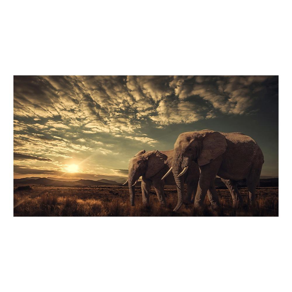 Walking Elephant Home Decoration Canvas Painting Modern Light Luxury Living Room Wall Art Posters High End Picture Print Artwork