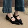 Shallow Mouth Pointed Single Shoes Women's New Temperament Commuting Thick Heel Mary Jane Small Leather Shoes