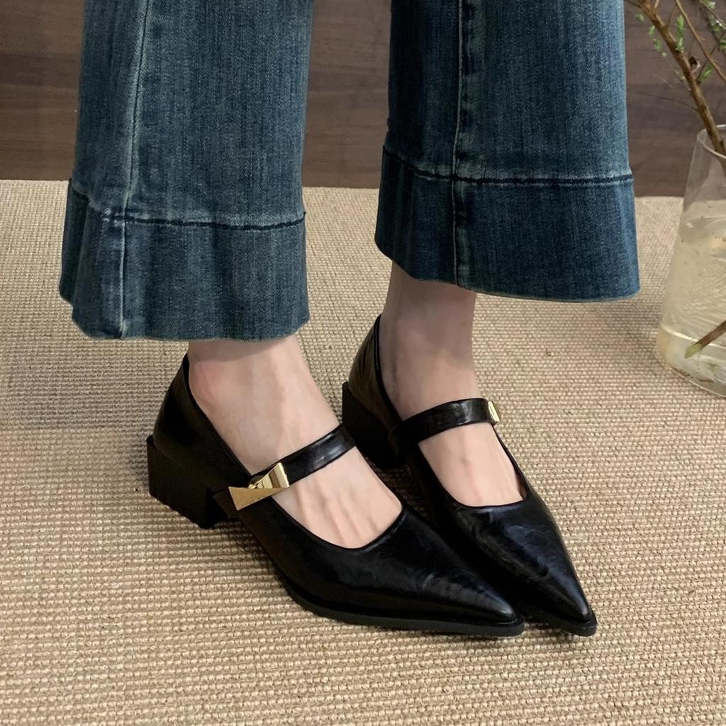 Shallow Mouth Pointed Single Shoes Women's New Temperament Commuting Thick Heel Mary Jane Small Leather Shoes
