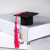 Mini Felt Graduation Cap Tassel Set DIY Party Decor for Bottles Cupcakes Cake Toppers Wine Bottle Accessories for Graduation Ceremony Photo Props