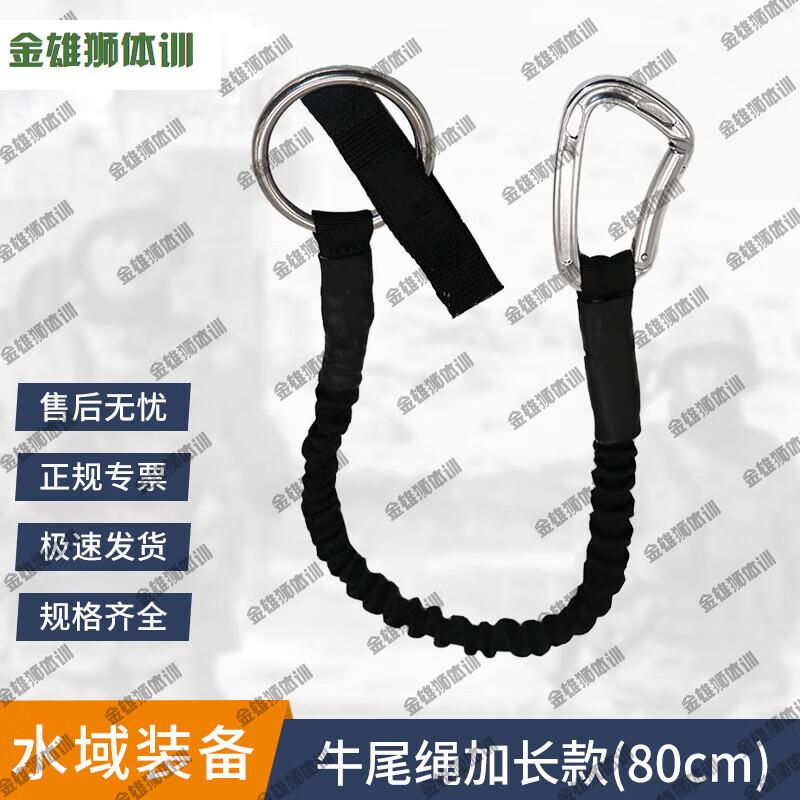 Golden Lion Water Rescue & Training Set