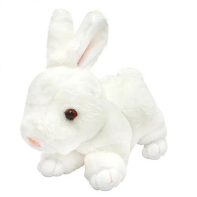 Take Off Rabbit Maron Rex M White