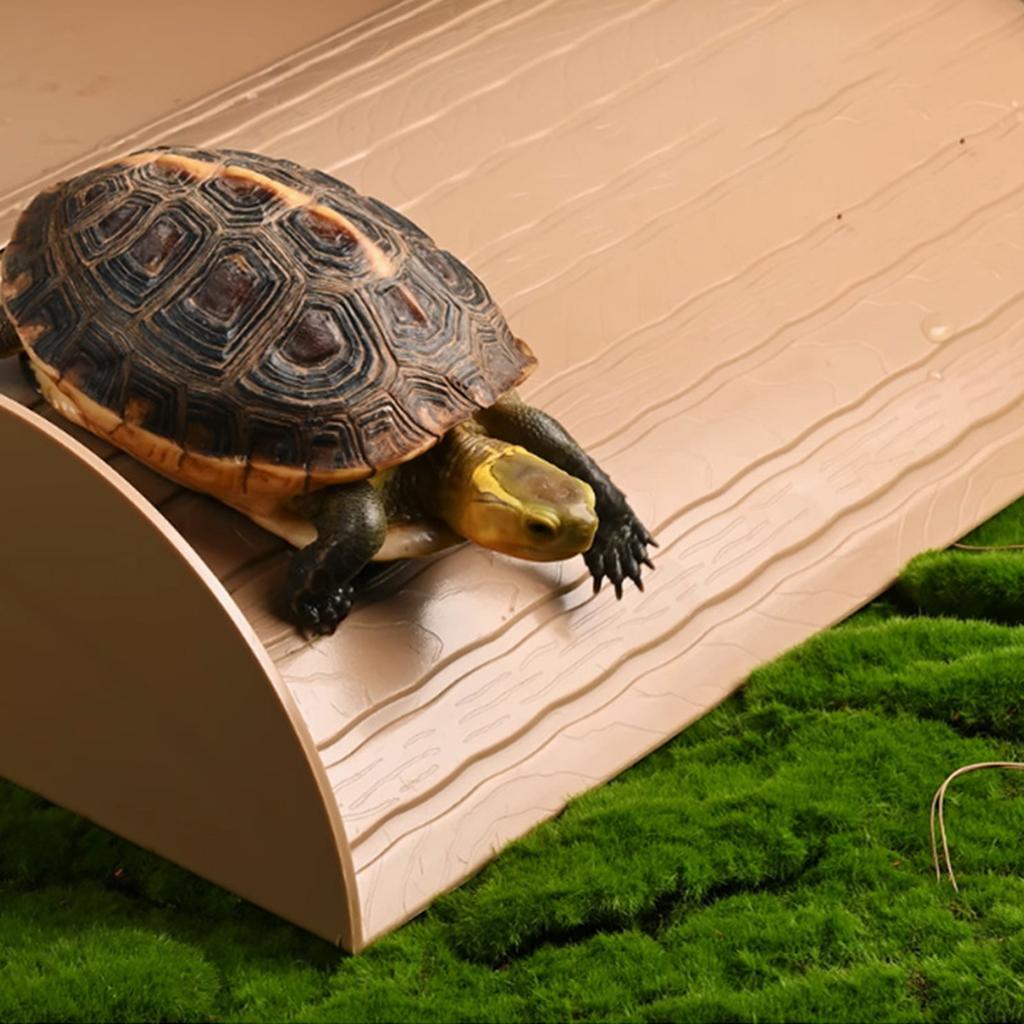 Reptile Bathing Pool with Ramp Reptile Food Water Bowl for Frog Turtle Gecko Tortoise Food Dish Reptile Food Water Bowl