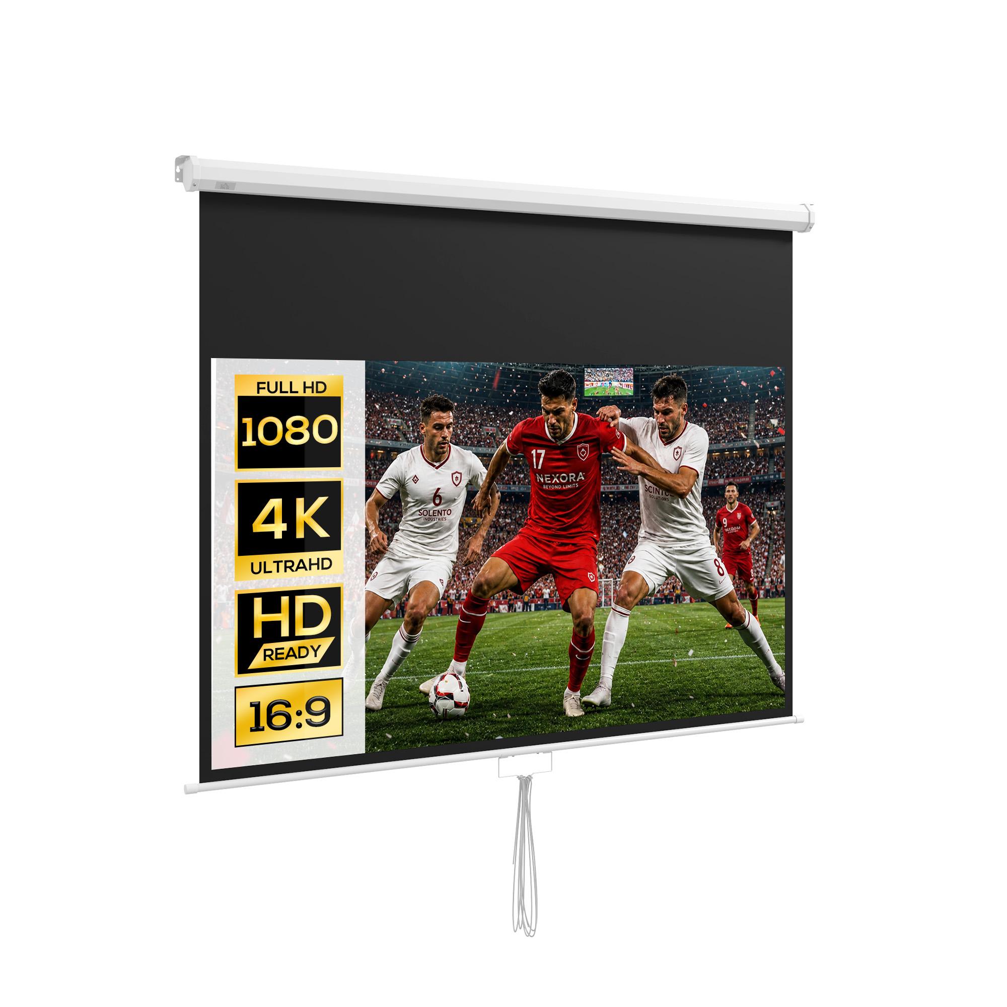Projector Screen, incl. Stand, Wall or