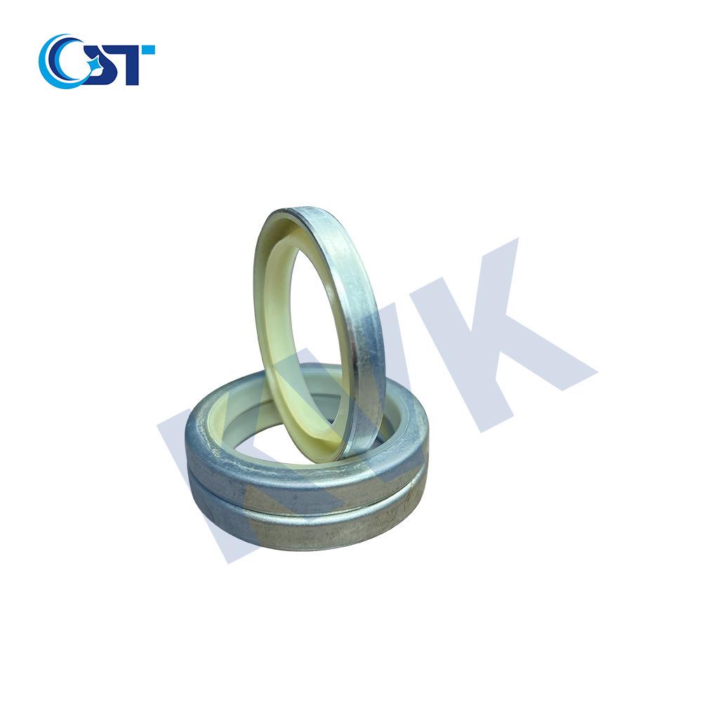 Standard Industrial Skeleton Oil Seal & Dust Seal