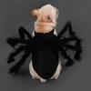 Creative Pet Spider Costume Furry Cat Cosplay Costume Funny Pet Spider Harness  Photo Celebration