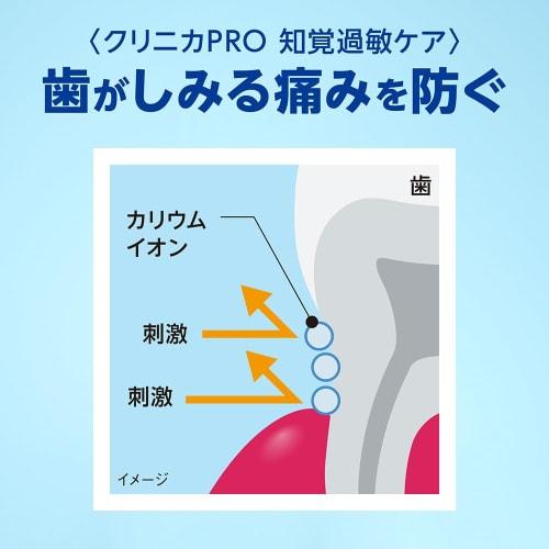 Clinica PRO Sensitive Toothpaste, Relax Mint, 95g + 1 Y-Shaped Floss [.co.jp Exclusive]