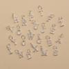 CARLIDANA Trendy Letter Pendant Necklace Bracelet Stainless Steel Alphabet 26 Initial Charms Silver Color DIY Zircon Jewelry