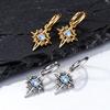 High Quality Moonlight Stone Hoop Earrings for Men,Stainless Steel Four Pointed Star Hoop Earrings,Trendy Jewelry Gift