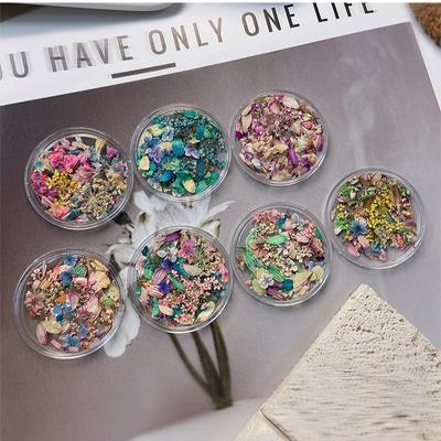 Nail Art Dried Flower Nail Jewelry Flower Floral DIY Mixed Material Diy Nail Art Decor