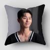 Park Seo Jun Pillow Case Satin Fabric Pillowcase Decorative Pillow Cover Wedding Decorative 0425