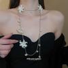 Broșe și accesorii pentru corp