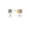 Vivicate 14k Color Cubic Pearl Stud Earrings_White