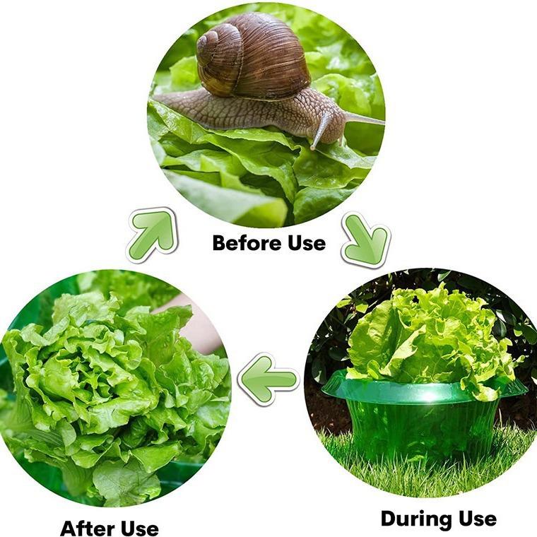 Circular Pest Protection Agricultural Protection Thickened Vegetable Protection Cover
