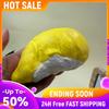 Simulation Food Squeeze Toy Ultra Soft Slow Rising Squishies Realistic Durian Squishies Toy Novelty Gift for Kids & Adults