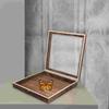 Insect Specimen Box Jewelery Organizer Display Cabinet Frame Case Chinese Style