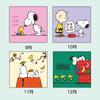 Sanrio Wall Calendar Medium 2026 Snoopy Paper Wall Hanging 622508