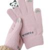 Panda Finger Warm Touch Screen Gloves Five Fingers Cartoon Cute Student Couple Riding Girl Autumn and Winter Cold Protection