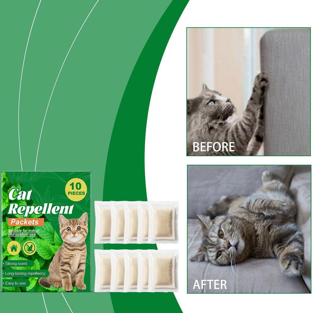 Training Aids For Cats 10 Pieces Behavior Training Garden Cat Protection For Kittens Indoor Home Plants Outdoor Garden Lawn Yard