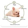 Durable Nylon Dog Chew Toys for Aggressive Chewers Indestructible Bite Resistant Bone Teething Stick Puppy Toys for Small Medium