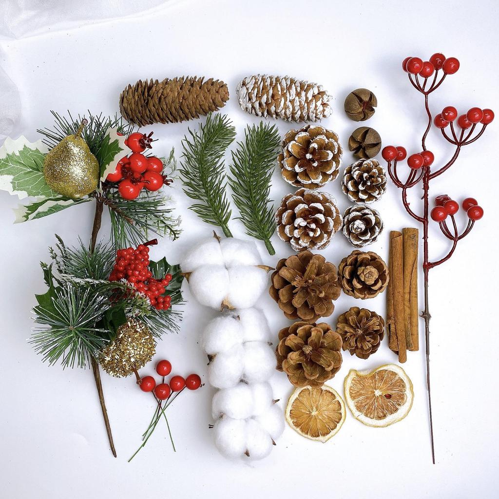 Natural Dried Pine Cones for Christmas Tree Decoration, Photography Props, Floral Wreaths, and Bouquets.