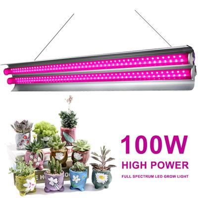 Pełne spektrum 100W LED Grow Light Indoor Strip Growth Lamp dla roślin Grow Tent Fitolampy Phyto Lamp Flower Growth Light Bulb