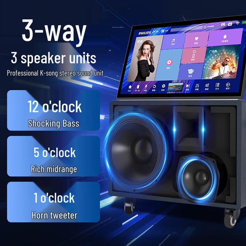 

Philips SD269 Portable KTV Karaoke Speaker System