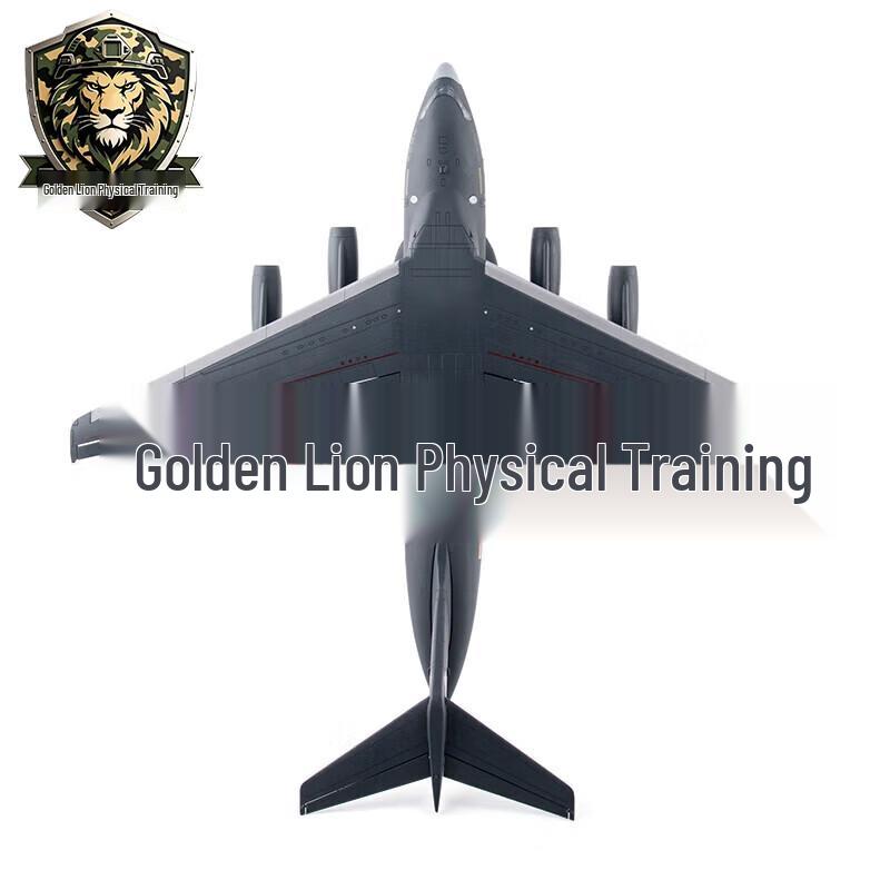 Y-20 Transport Aircraft Alloy Model