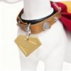 Set costume da supereroe per cani, mantello da supereroe con targhetta identificativa per il collare, travestimento per animali domestici, ideale per cani e gatti, perfetto per divertenti giochi di ruolo e feste in maschera.