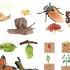The World of Nature with Interactive STEM Toy Set