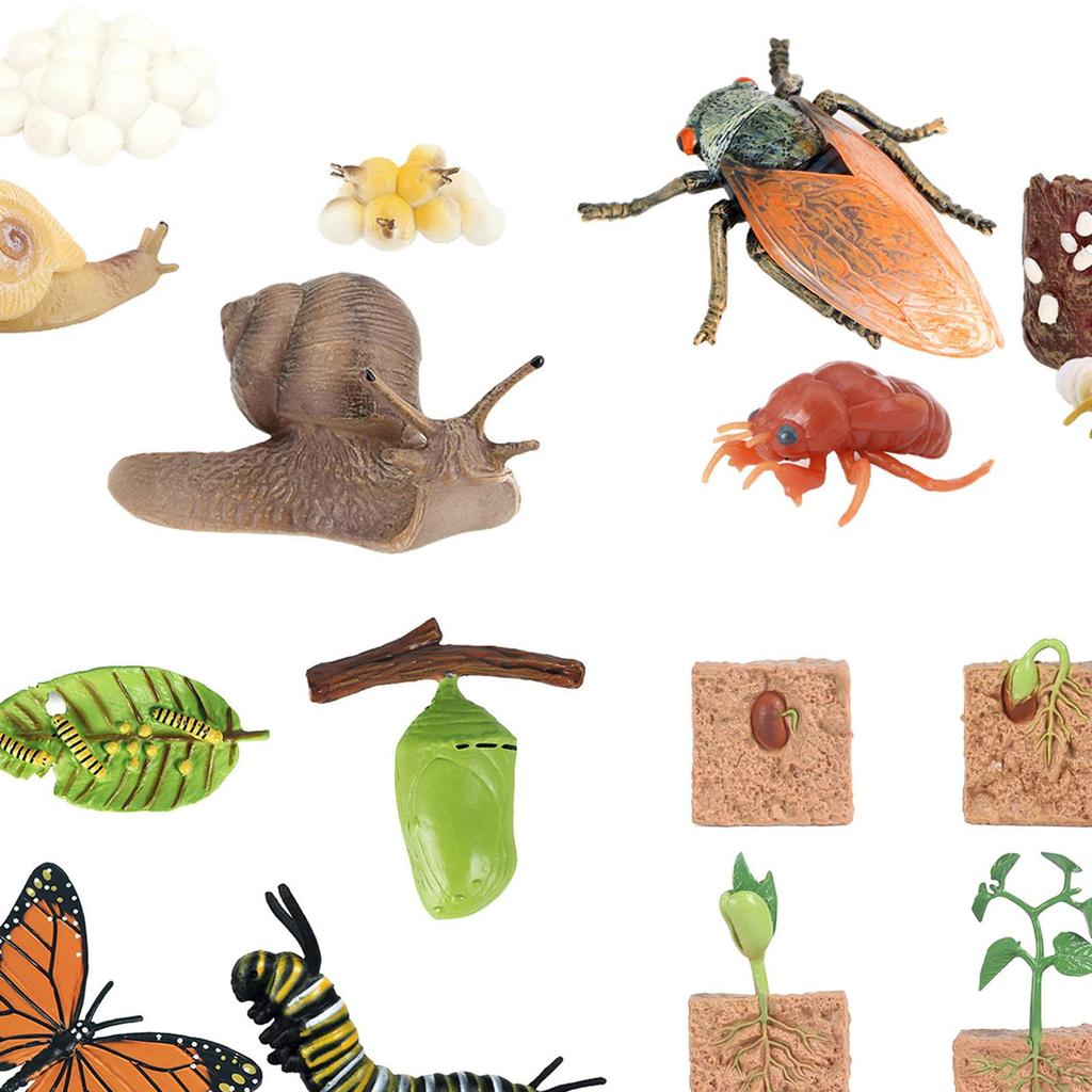 The World of Nature with Interactive STEM Toy Set
