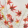 Autumn Maple Leaf Faux Plant Hanging Decoration For Weddings And Photography