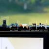 5-Pack Cute Healing Cat Monitor Decoration - Kawaii Screen Edge Sitter Figurines for Office Desk, Anti-Loneliness Companion
