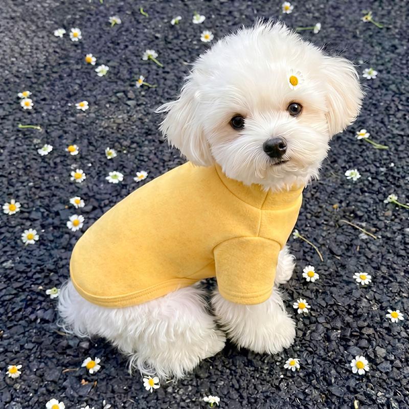 Dog clothes autumn and winter than bear teddy puppet small dog cat pet anti-hair German velvet two feet bottoming pajamas