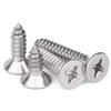 Xiesheng 304 Stainless Steel Phillips Flat Head Self-Tapping Screw