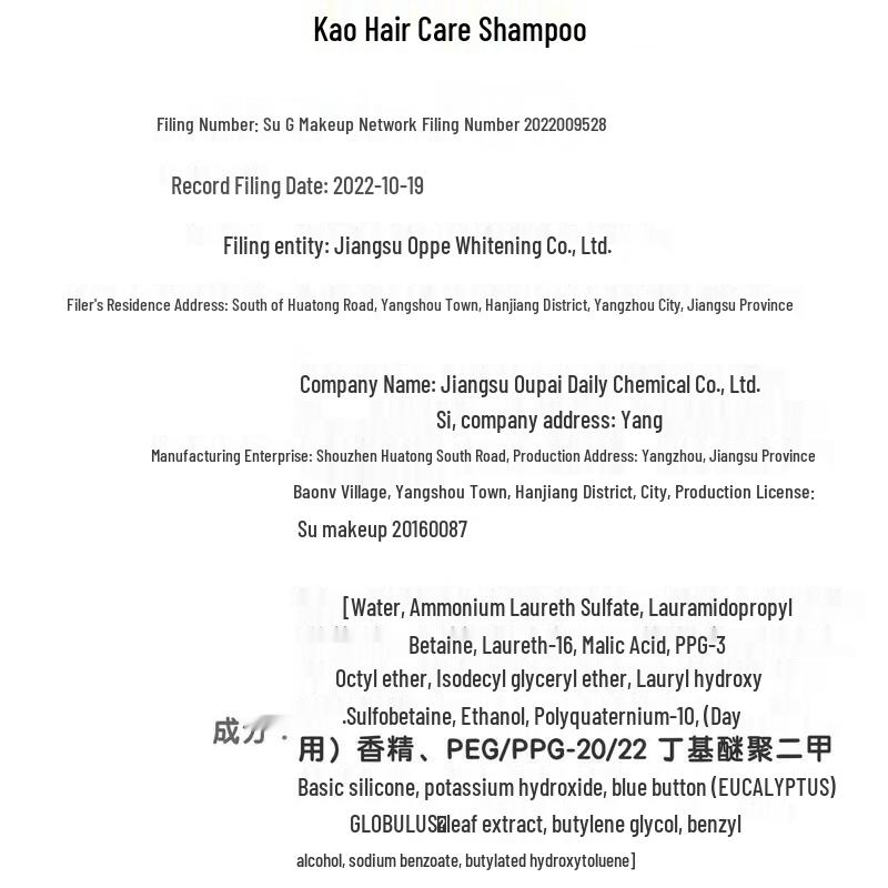 Kao Anxin Series Hair Care Shampoo