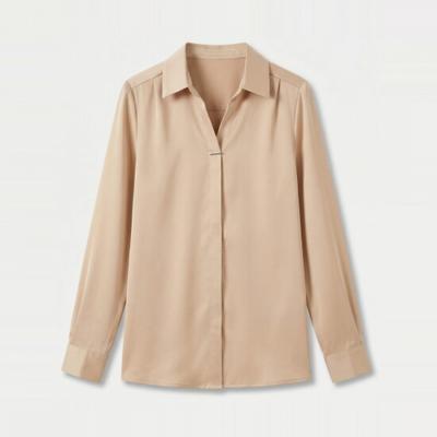 Karra Modern V Neck Collar Blouse A3f0422