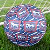 FC Ipswich Crest Size 5 Soccer Balls, Anti-Slip, Protective Football, Outdoor Sport, a Unique Gift Suitable for Him/her, Birthdays