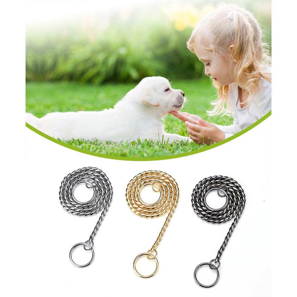 snake chain show collar