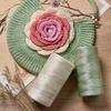 250g/Roll 2.5mm Ice Silk Thread Summer Crochet Yarn for DIY Knitting Bag Shoes Flat Hollow Yarn Hand-knitted Thread Supplies